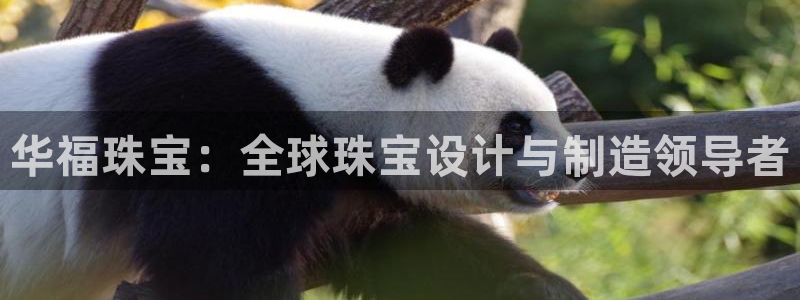 天宏娱乐团购活动时间