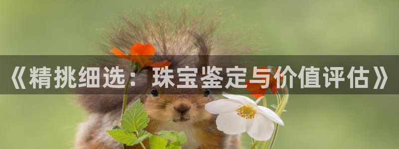 天宏娱乐老男孩团队