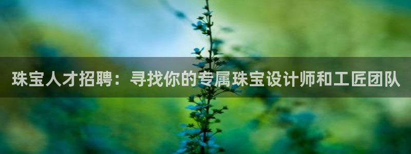 天宏娱乐有群：珠宝人才招聘：寻找你的专属珠宝设计师和工匠团队