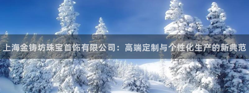 天宏娱乐董叔：上海金铸坊珠宝首饰有限公司：高端定制与个性化生