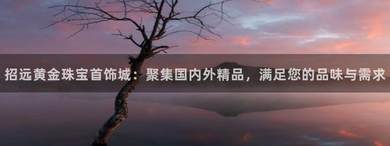天宏娱乐星空大叔：招远黄金珠宝首饰城：聚集国内外精品，满足您