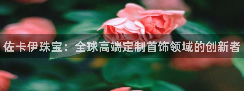 天宏娱乐直播团队名单