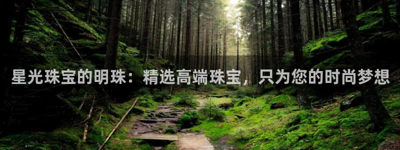 天宏娱乐登入：星光珠宝的明珠：精选高端珠宝，只为您的时尚梦想