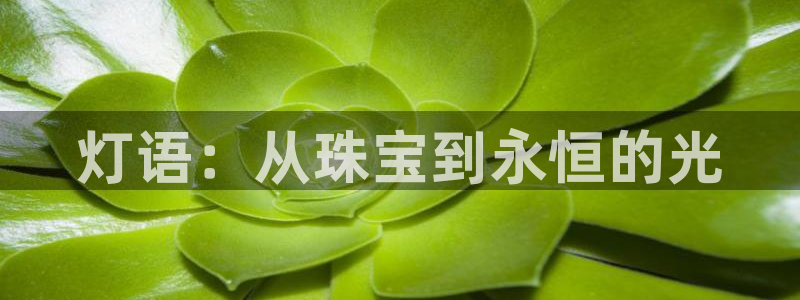 天宏娱乐指定千捷网络