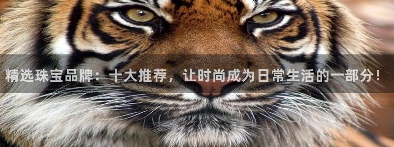 天宏3娱乐平台