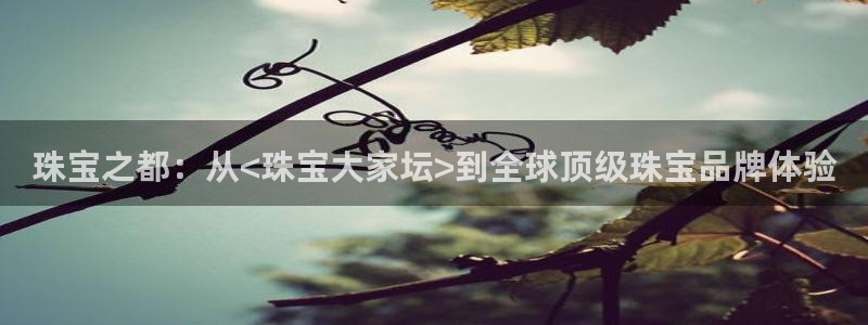天宏娱乐朱俊伟