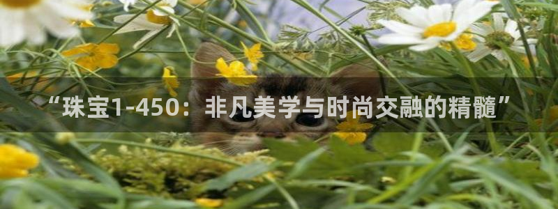 天宏娱乐传媒岳阳分公司