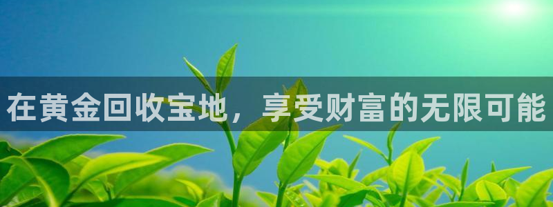 天宏娱乐怎样赚钱的