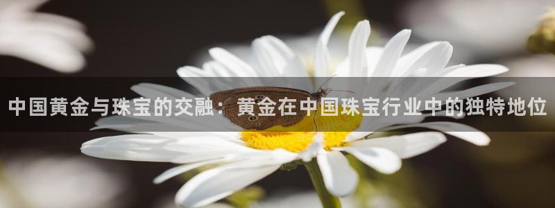 天宏娱乐董叔：中国黄金与珠宝的交融：黄金在中国珠宝行业中的独