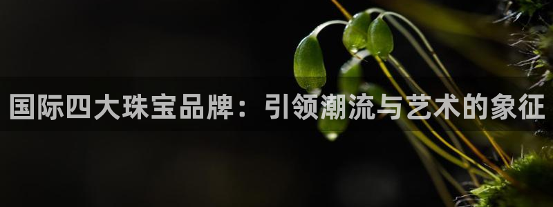 天宏娱乐老板是谁：国际四大珠宝品牌：引领潮流与艺术的象征