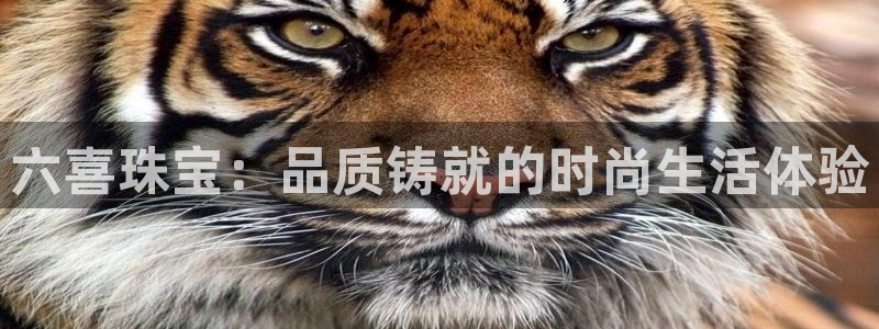 金叔直播天宏娱乐直播：六喜珠宝：品质铸就的时尚生活体验