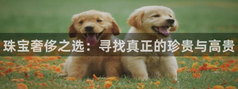 裕宏娱乐林天俊：珠宝奢侈之选：寻找真正的珍贵与高贵