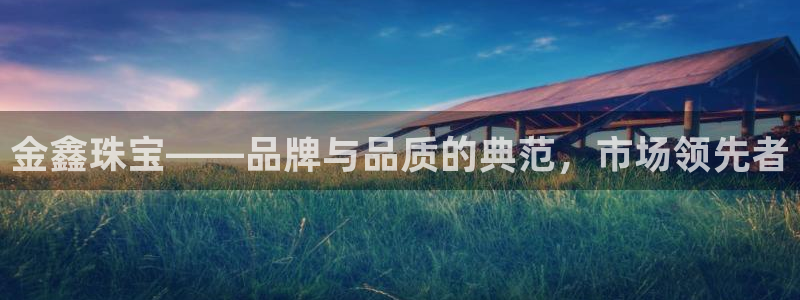 天宏娱乐直播间官网：金鑫珠宝——品牌与品质的典范，市场领先者